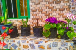 homestay in ahaldara